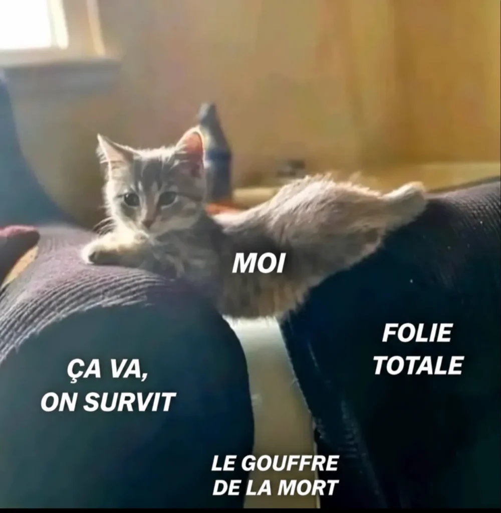 Chat entre deux portes